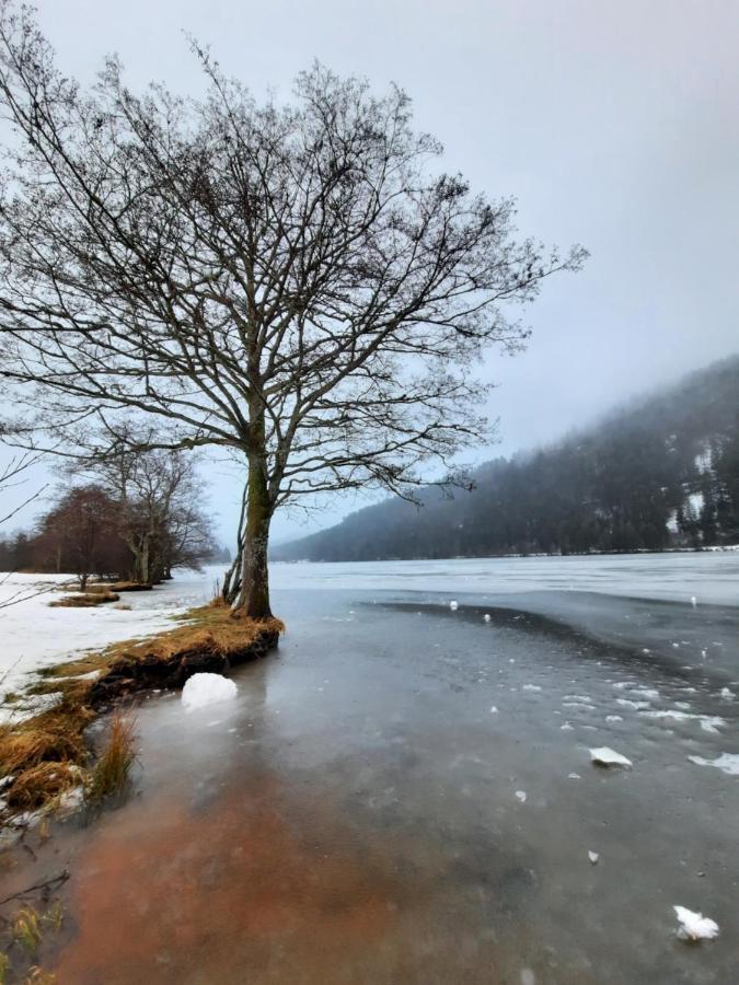 Au Coeur Des Lacs - Chambres D'Hotes Gérardmer Exteriér fotografie